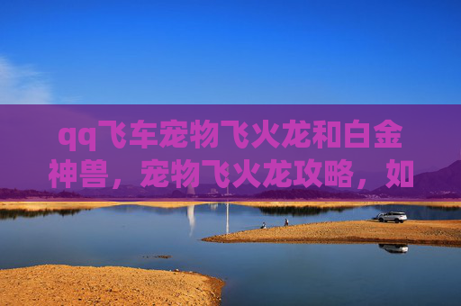qq飞车宠物飞火龙和白金神兽,宠物飞火龙攻略,如何培养你的QQ飞车宠物飞火龙? qq飞车宠物飞火龙和白金神兽,宠物飞火龙攻略,如何培养你的QQ飞车宠物飞火龙?