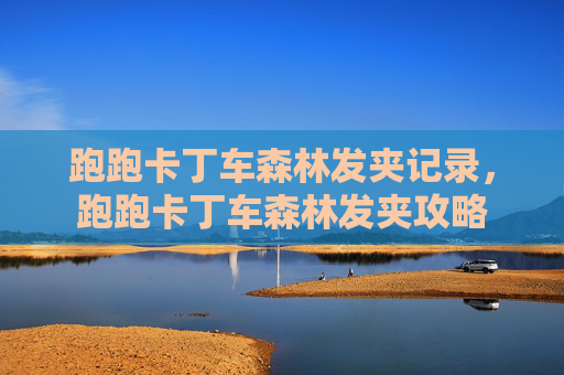 跑跑卡丁车森林发夹记录,跑跑卡丁车森林发夹攻略 跑跑卡丁车森林发夹记录,跑跑卡丁车森林发夹攻略