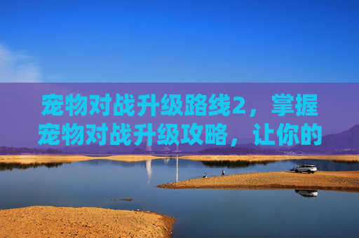 宠物对战升级路线2，掌握宠物对战升级攻略，让你的宠物在战斗中所向披靡！